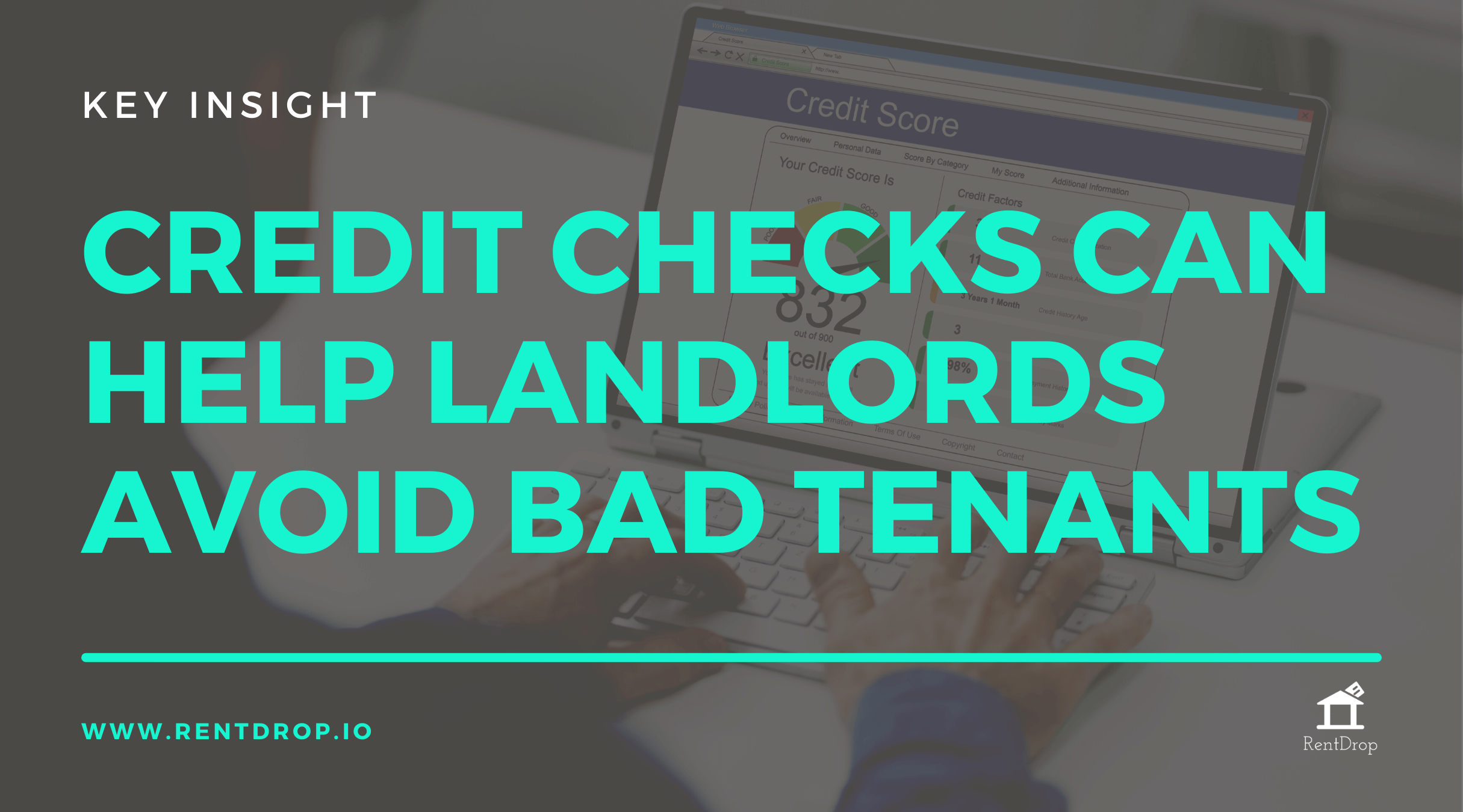 rentdrop tenant credit checks insight